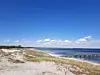 Sanddyner och strand med en lång brygga över vattnet under klarblå himmel.